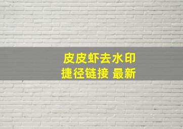 皮皮虾去水印捷径链接 最新